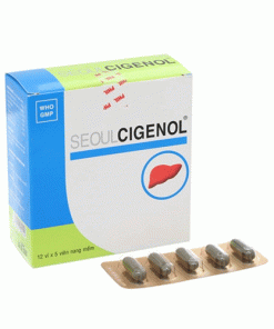 Thuốc Seoulcigenol 500mg là thuốc gì?