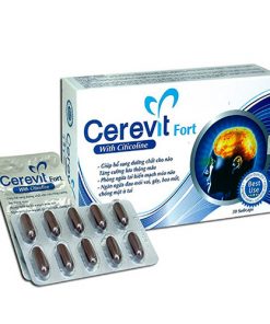 Thuốc Cerevit có tác dụng gì?