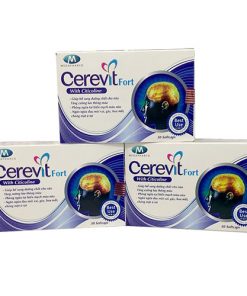Thuốc Cerevit tăng tuần hoàn máu não