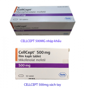 phân-biệt-cellcept-500-nhập-khẩu-và-xách-tay