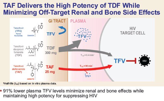 Cơ chế hoạt động của TAF và TDF 