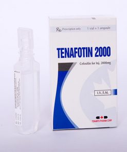 Thuốc Tenafotin 2000 giá bao nhiêu