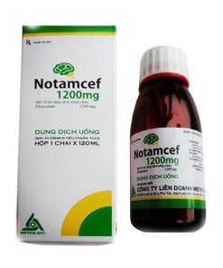 Giá thuốc Notamcef 1200mg