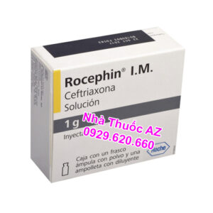 Thuốc Rocephin 1g I.V. 