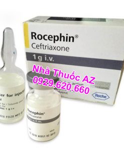 Thuốc Rocephin 1g I.V. – Công dụng – Giá bán – Mua ở đâu?