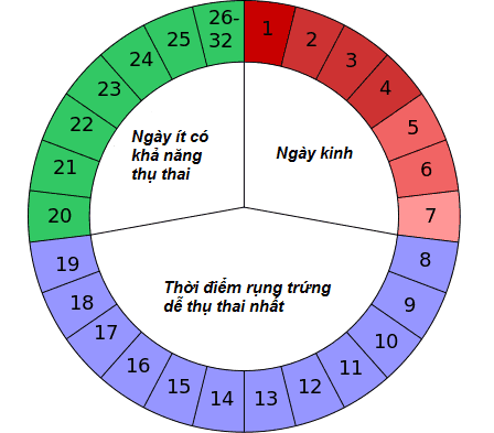 Chu kỳ kinh nguyệt: Những kiến thức cơ bản cho chị em phụ nữ