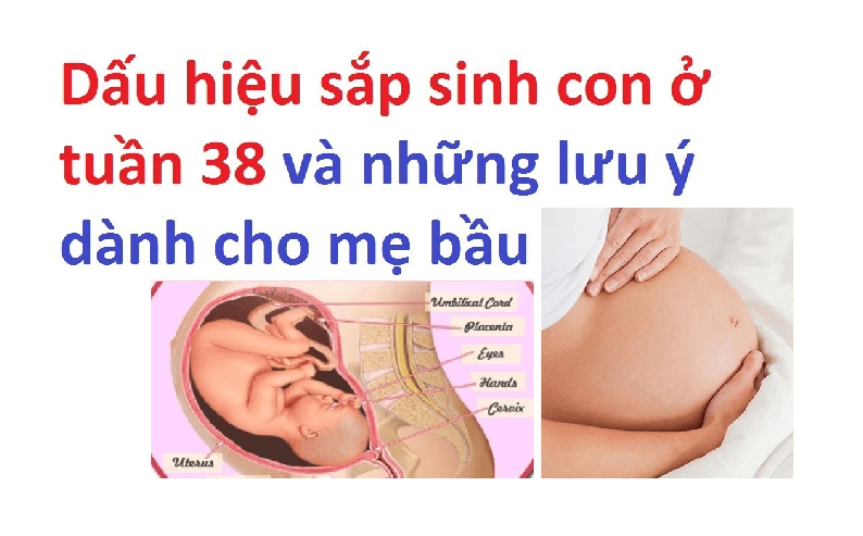 Chuyển dạ là gì và những dấu hiệu sắp sinh