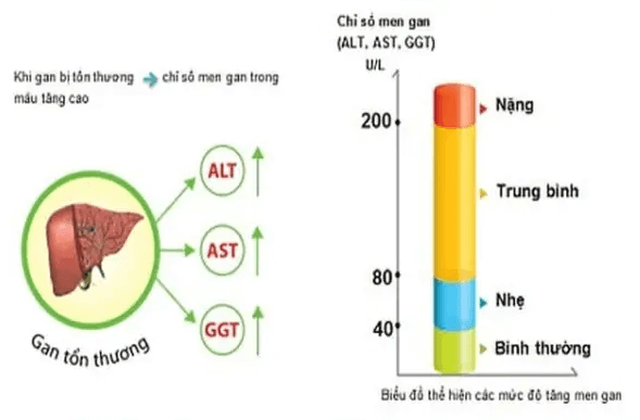 GPT là gì và những điều cần biết về chỉ số GPT?