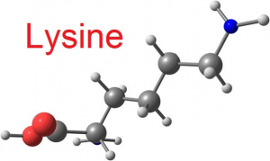 Lysin là chất gì?