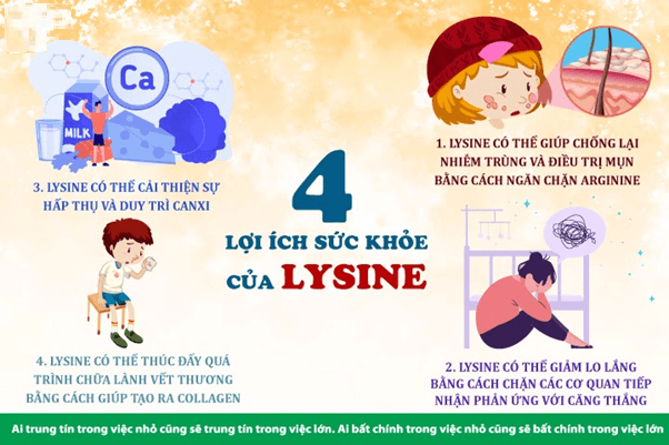 Vai trò của Lysin với sức khỏe: Những điều bạn nên biết