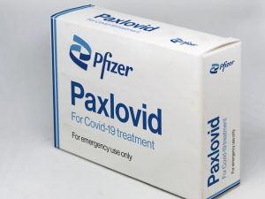 Thuốc Paxlovid giá bao nhiêu?
