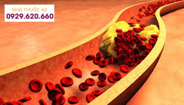 tai-sao-tang-cholesterol-trong-hoi-chung-than-hu-2