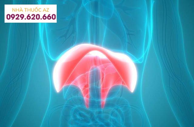 Co thắt cơ hoành: Những điều cần biết