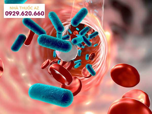 Vi khuẩn tụ cầu