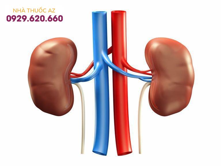 Xơ hóa mạch máu thận