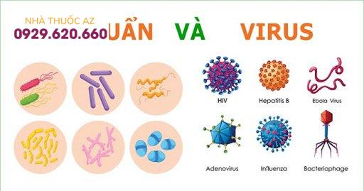 Chẩn đoán nhiễm trùng do vi khuẩn và virus