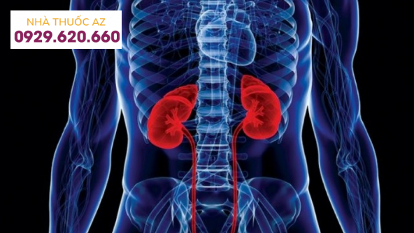 Suy thận cấp sau thận