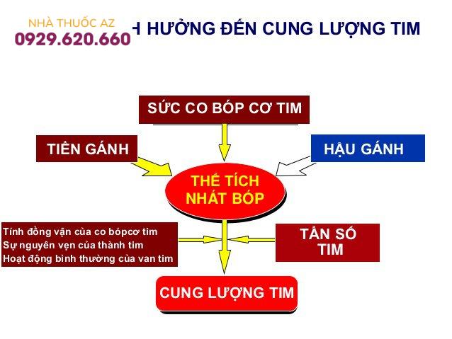 Các yếu tố ảnh hưởng đến cung lượng tim