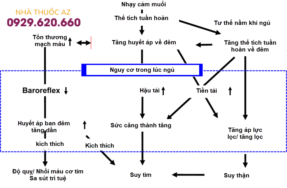 Cơ chế và tác động của huyết áp về đêm lên nguy cơ tim mạch