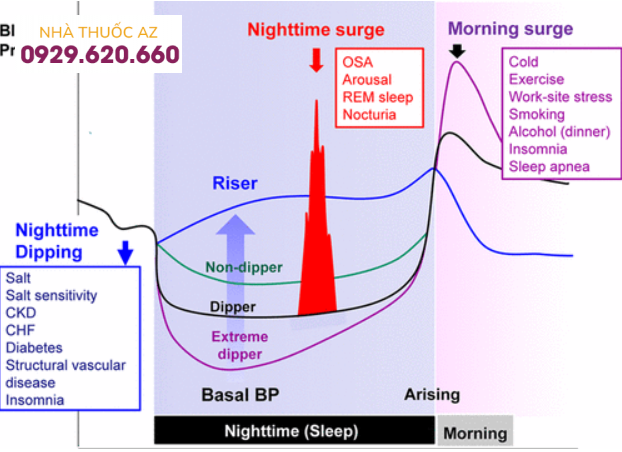 Giao động huyết áp ngày-đêm