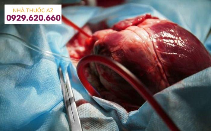 Trái tim có thể tiếp tục đập ngay cả khi nó được tách rời khỏi cơ thể