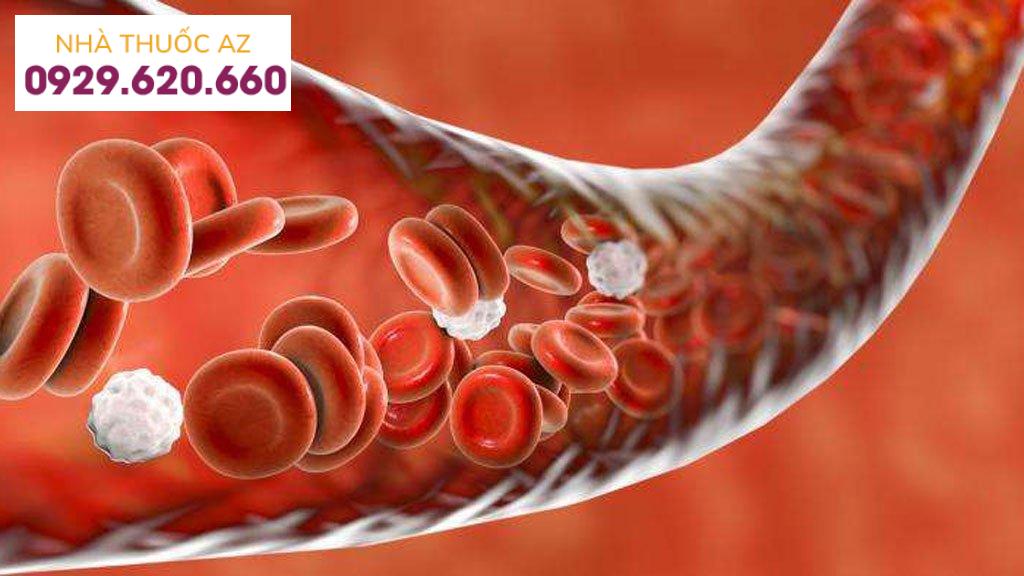 Các rối loạn chảy máu do thành mạch