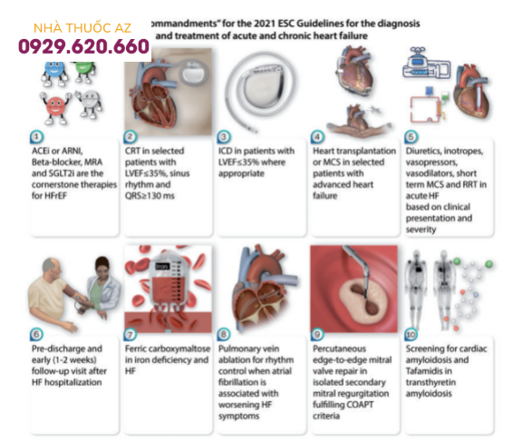 'Mười điều lưu ý' của Hướng dẫn ESC năm 2021 về chẩn đoán và điều trị suy tim cấp và mạn tính.