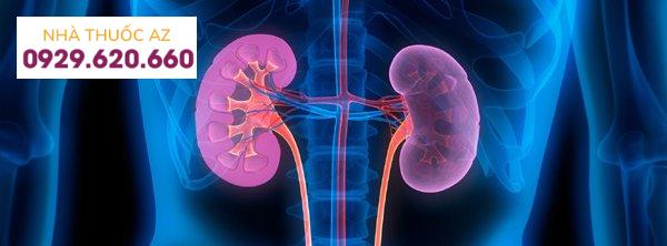 Chỉ định lọc máu trong suy thận cấp