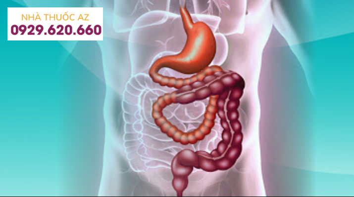 Hội chứng ruột ngắn