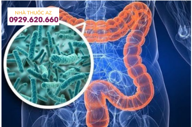 Hệ vi khuẩn đường ruột đóng vai trò quan trong trong bệnh viêm ruột