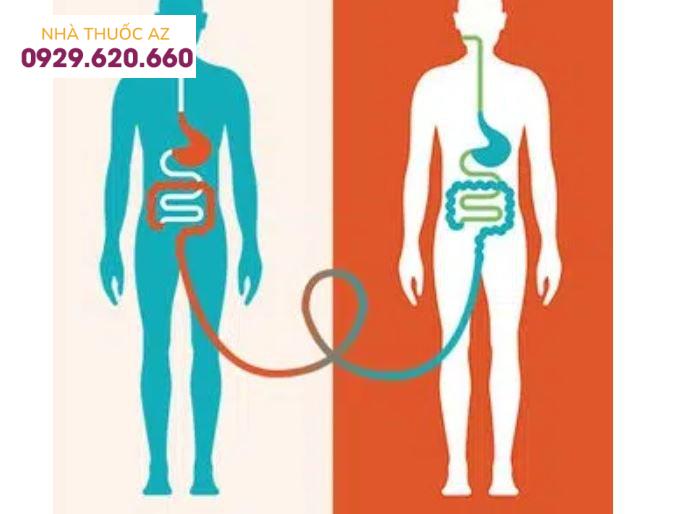 Kỹ thuật ghép phân FMT