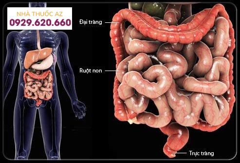 Nội soi ruột non hỗ trợ bằng bóng