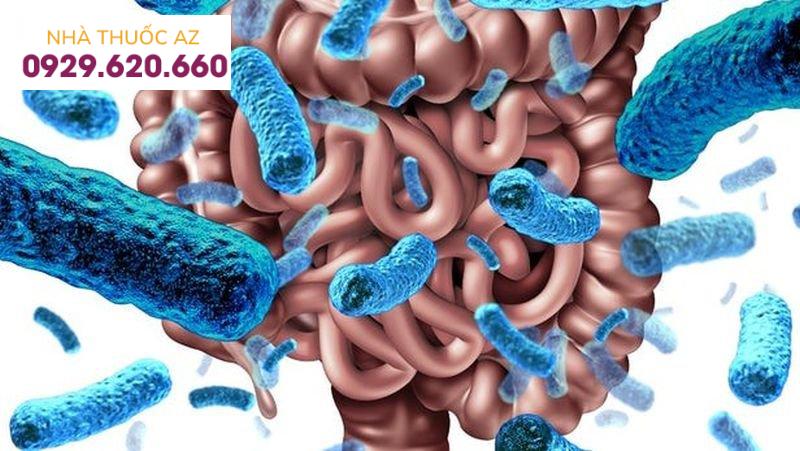 Hệ vi khuẩn đường ruột