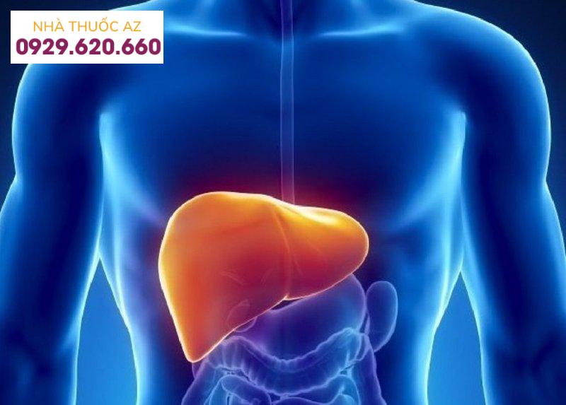 Điều trị viêm gan B mạn tính có cần dùng thảo dược không?