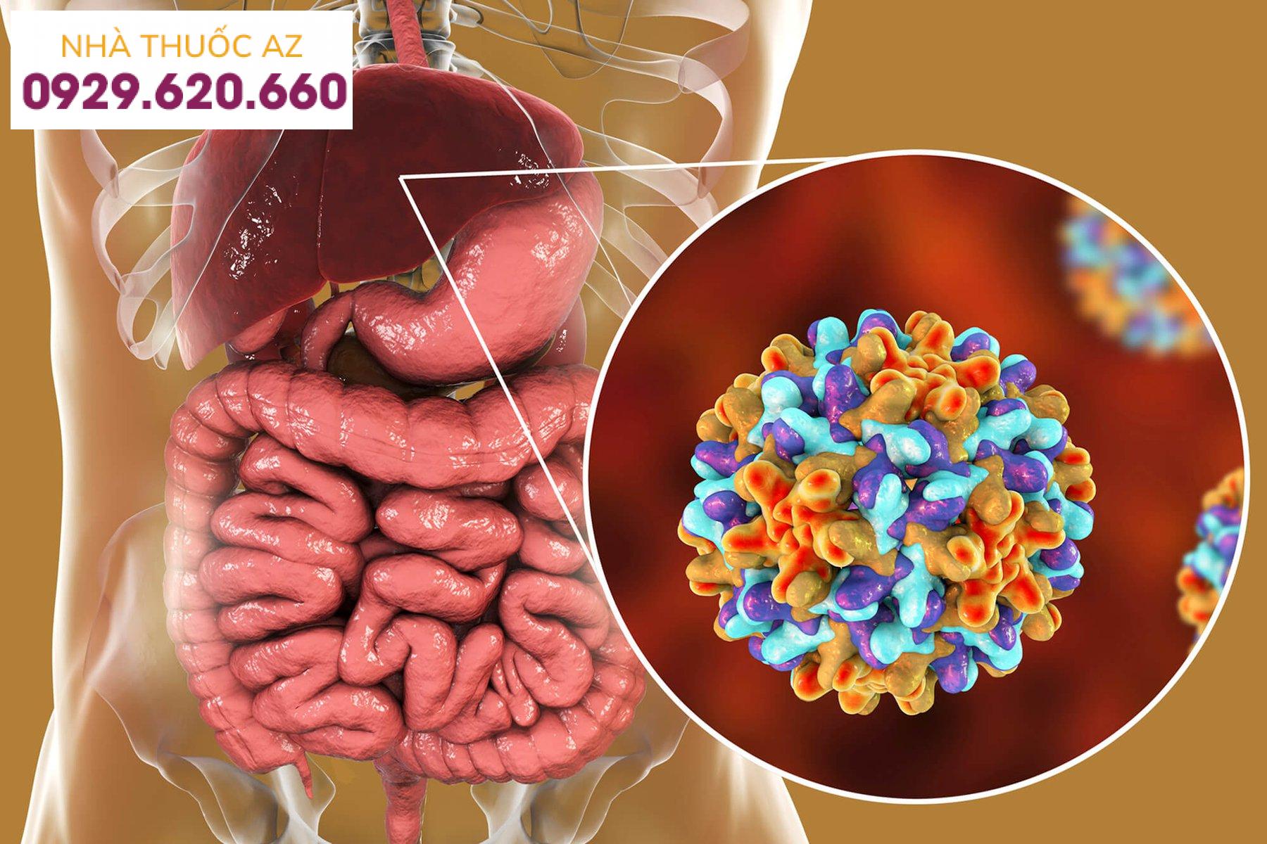 Tìm hiểu cách thức lây truyền của bệnh gan giúp phòng và cải thiện sức khỏe lá gan