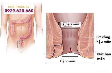 Nứt hậu môn có phải bệnh trĩ không?
