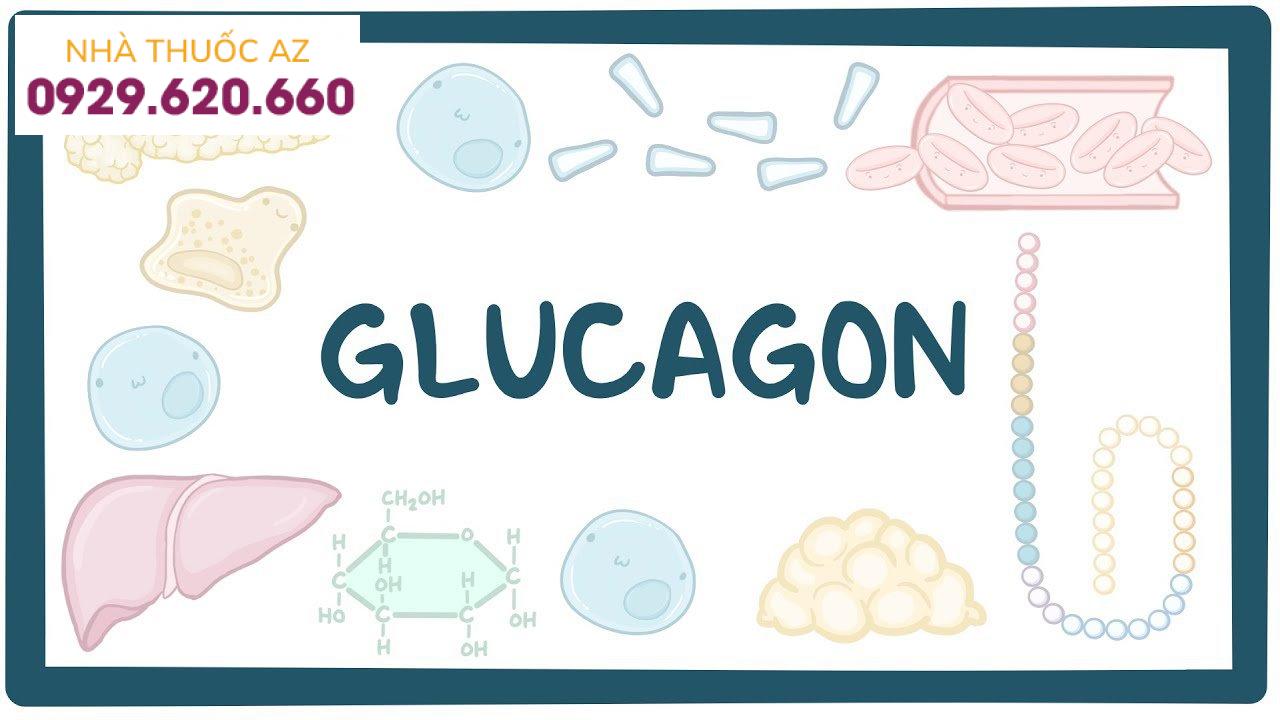 Khi nào thực hiện xét nghiệm kích thích glucagon