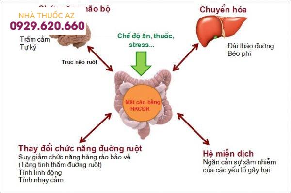 hệ vi khuẩn chí đường ruột