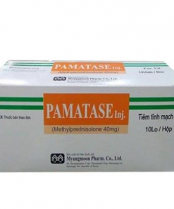 Thuốc Pamatase Inj là thuốc gì