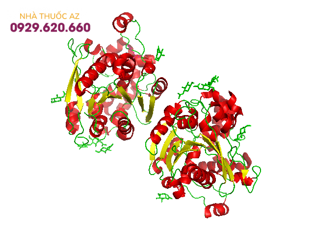 Cấu trúc tinh thể của lipase dạ dày ở người