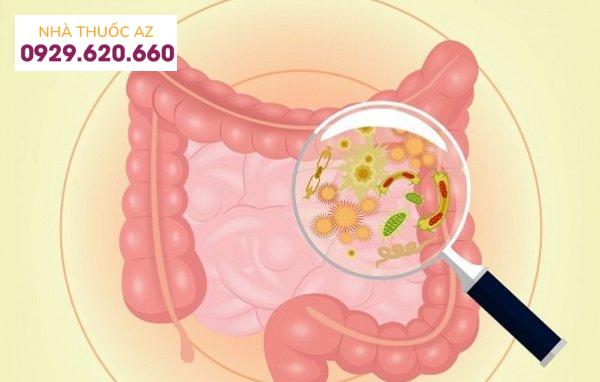 Vi khuẩn đường ruột