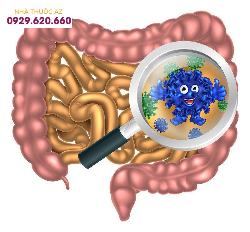Vi khuẩn đường ruột nói gì về bạn?