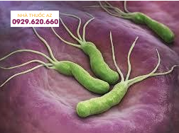 Nhiễm H.Pylori