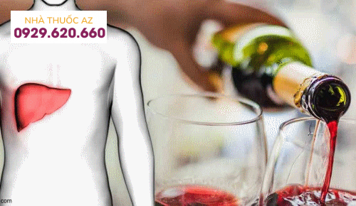 Rượu bia gây hại cho gan