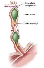 Sóng vận động thực quản