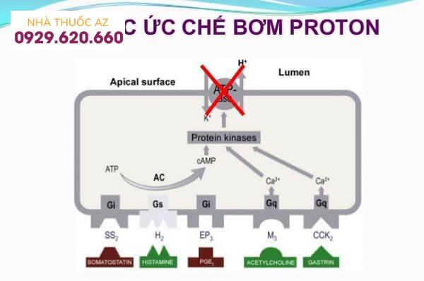 Thuốc ức chế bơm proton (PPI)