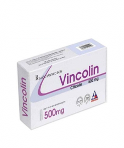 Thuốc Vincolin 500mg giá bao nhiêu