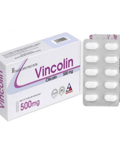 Thuốc Vincolin 500mg là thuốc gì