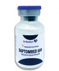 Thuốc Daptomred 500 giá bao nhiêu