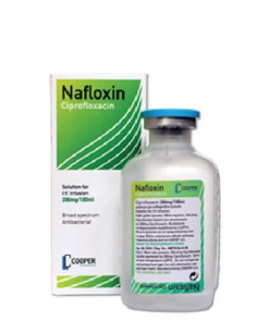 Thuốc Nafloxin 200ml giá bao nhiêu